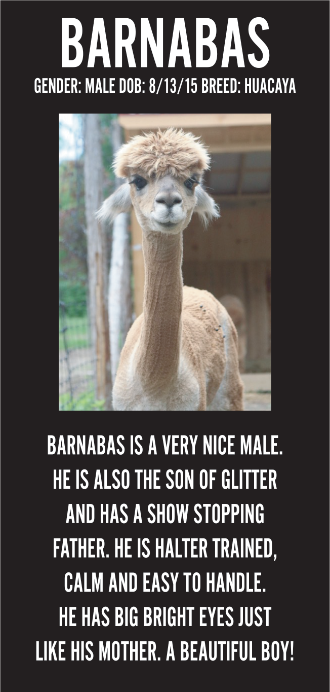 Barnabas